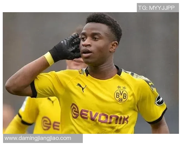 美国与加拿大足球对决:历史渊源与未来展望的深度分析