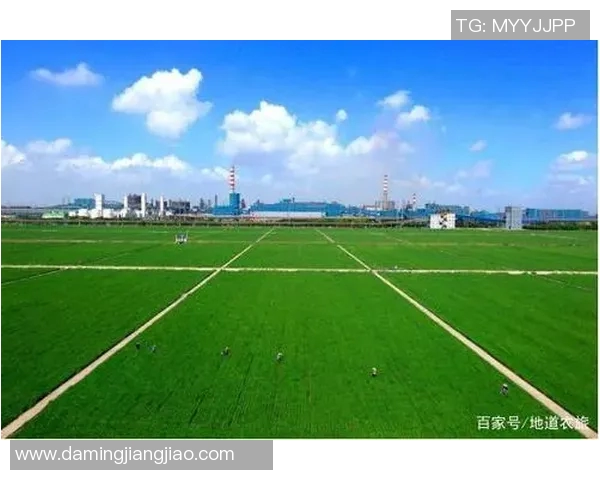 铁路工厂与阿独立的较量:现代化与传统的碰撞与融合探讨